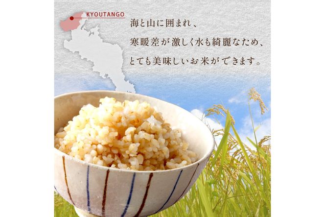 2025年産 京都・京丹後峰山 特別栽培米夢ごこち 10kg 【玄米】　MF00064