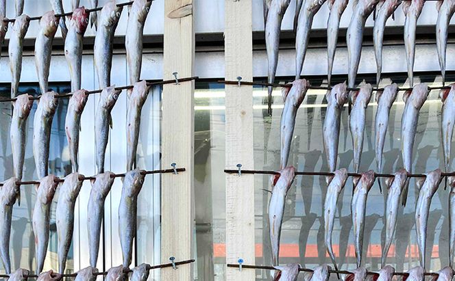北海道 厚岸産 丸干しコマイ 190g×5パック ソウルフード 魚貝類 干物 焼魚 おつまみ 冷凍 厚岸湖 天日干し 焼くだけ おかず 