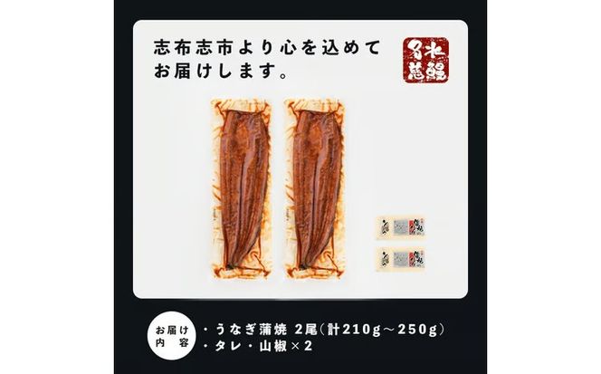 【10営業日以内に発送】鹿児島県産うなぎ蒲焼 名水慈鰻 2尾＜計210～250g＞ a1-151