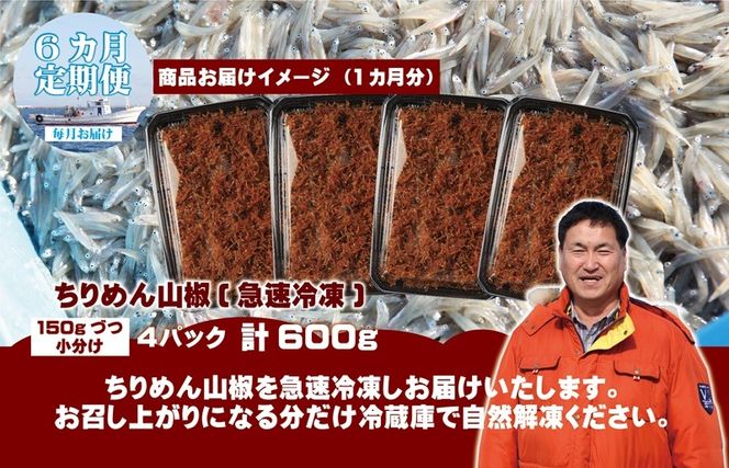 G2192 ちりめん山椒しらす 600g×全6回【定期便 小分け シラス しらす sirasu 海鮮 人気 おすすめ 産地直送】