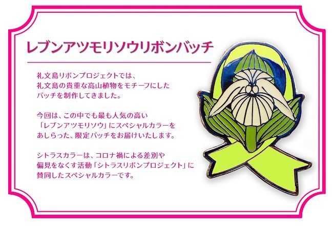 【礼文島リボンプロジェクト】北海道 礼文島産 オリジナル泡盛 波声 飲み比べ(30度・43度 600ml×各1本) ［中島商店］【 泡盛 お酒 焼酎 飲み比べ 波声 はごえ 祝い酒 自然保護 寄付 贈答 】