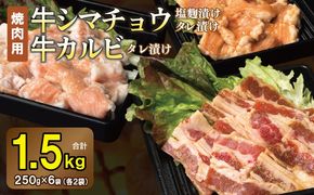 G3352 牛シマチョウ（タレ漬け+塩麹）＆タレ漬け牛カルビの焼肉セット  合計1.5Kg（1袋250ｇ×各2袋） 【味付け 小分け 焼くだけ 簡単調理 BBQ 牛肉 ホルモン 250g×6袋】