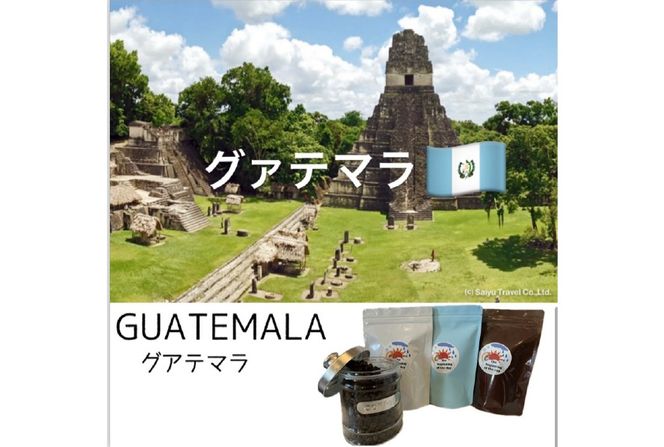 コーヒー豆 3ヶ月 定期便 100g×3 [いち日のはじまり 福岡県 筑紫野市 21761225] コーヒー 珈琲豆 珈琲 豆