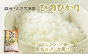「原田さんちのお米」ヒノヒカリ5kg お取り寄せグルメ お取り寄せ 福岡 お土産 九州 ご当地グルメ 福岡土産 取り寄せ 福岡県 食品