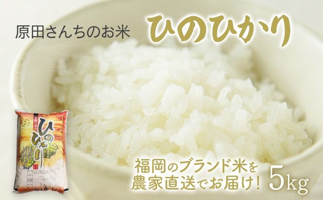 「原田さんちのお米」ヒノヒカリ5kg お取り寄せグルメ お取り寄せ 福岡 お土産 九州 ご当地グルメ 福岡土産 取り寄せ 福岡県 食品
