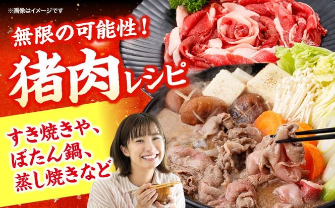 猪肉 切り落とし 1kg 雲仙いのしし モモ ウデ / 肉 イノシシ ジビエ いのしし 焼肉 ぼたん鍋 切り落とし / 南島原市 / もりのめぐみ[SDB015]