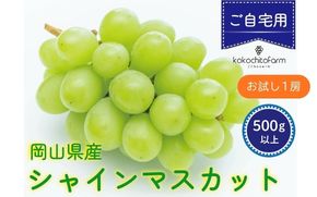 【2026年先行予約】 小さなぶどう園の シャインマスカット お試し1房 500g以上 ご家庭用 ここちとふぁーむ 岡山県 真庭市 ぶどう 【koko014-01】