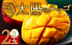 ＜宮崎県産完熟マンゴー 太陽のタマゴ 2L 合計2玉＞入金確認後、2025年7月初旬迄に順次出荷【選べる 個数 内容量 大きさ サイズ 国産 かんじゅく とろける 果物 果実 フルーツ 南国 芳醇 甘い 旬（株）ワールドワイドトレード 宮崎県 国富町】【b0957_ww】