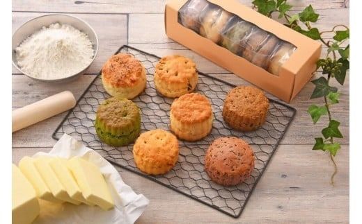 ymtszUEXR[(A) kCEEւ̔zs