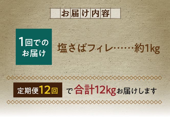 G60-T86_【訳あり 家庭用】 塩さば フィレ 1kg 全12回定期便