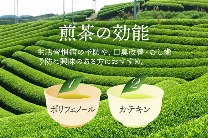 有機宇治茶味わいセット 〈 有機 オーガニック 無農薬 玉露 煎茶 上煎茶 緑茶 茶葉 お茶葉 お茶 茶 最上級 産地直送 飲料 加工食品 〉 