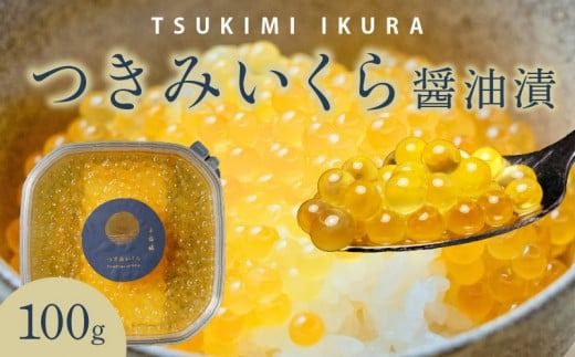 y{茧sz݂@ݖЁ@100gpbN N0116-YZA0385