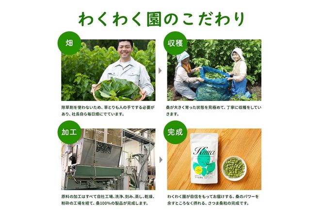 a934 さつま桑粒10袋セット【わくわく園】桑の葉 サプリ サプリメント くわ 天然100％ 有機 桑の葉 有機JAS