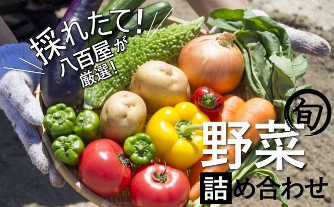 目利きのプロ 八百屋厳選 野菜詰め合わせセット（8～10種類お届け） H151-015
