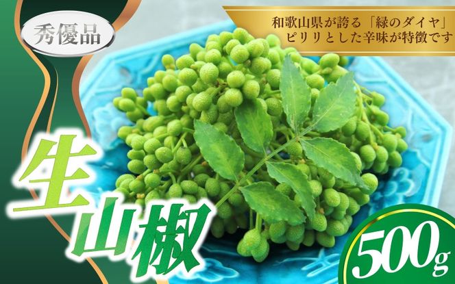 ya̎RI쒬zys\zԂǂR 500gy2026N5ɏ\zD_/ R 񂵂傤 R 񂵂傤  XpCX h R̎ R̎ yagy032z