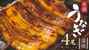 鹿児島県産 有頭 鰻 蒲焼 × 4尾 （ 1尾 135g ～ 155g 以上） 土用の丑の日 鰻祭り うなぎ ウナギ 土用丑の日 家庭用 贅沢 国産 旬 敬老の日 タレ 山椒 付 縁起