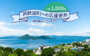 洞爺湖町 寄附のみの応援受付 1,000円コース（返礼品なし 寄附のみ 1000円） 支援 自治体支援 お礼の品なし 北海道 洞爺湖町の発展 ふるさと応援 ふるさと支援 