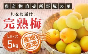 【2026年発送分先行予約】旬をお届け!完熟梅【Lサイズ5kg】 ANAR013