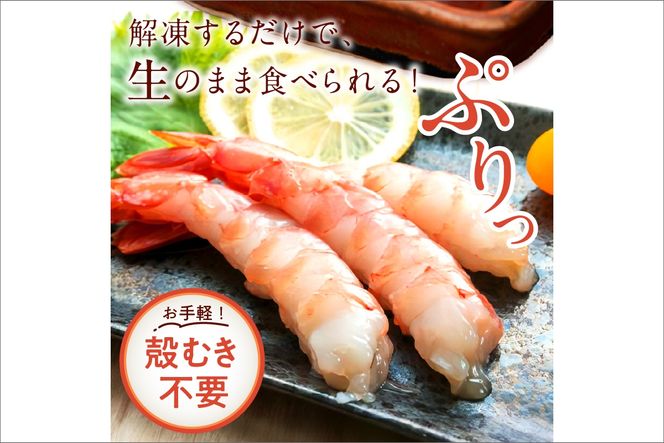 【定期便 隔月×3回】甘ーい！お手軽！日本海産 甘えび むき身 20尾×2パック 刺身用　YK00510
