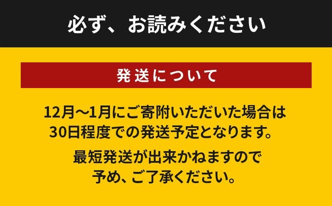 訳あり 九州産若鶏手羽元 揚げるだけスパイシーチキン『3kg 』 K16_0085_1 