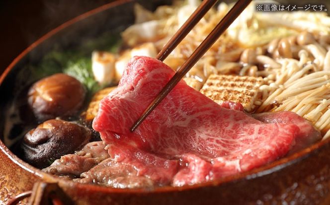 【A4〜A5ランク】長崎和牛 肩ロース すき焼き用 500g / すきやき スキヤキ 牛肉 ロース 肉 おかず / 南島原市 / 株式会社あらまさ[SGC001]