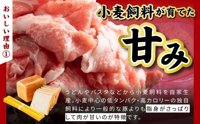 099H3920 【泉佐野ブランド豚】犬鳴豚餃子 75個【国産 豚肉 泉佐野ブランド豚 犬鳴ポーク 焼くだけ 人気 総菜 冷凍】