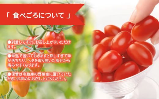 B51アメーラルビンズ＆ルビンズゴールド　5パック入り