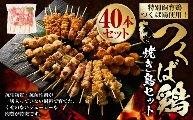 つくば鶏 焼き鳥セット 40本 焼き鳥 焼鳥 もも肉 ネギま ネギ間 鶏皮 つくね 串 串焼き 茨城県 守谷市