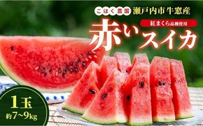 こはく農園 瀬戸内市牛窓産 赤いスイカ【紅まくら品種使用】1玉(約7～9kg) スイカ 西瓜 フルーツ 国産 岡山 瀬戸内市 [№5735-3535]