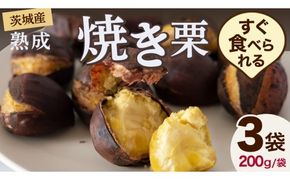 【 吉原農場 の 完熟栗 】 熟成 焼き栗 3袋 ( 200g × 3袋 ) R7年産 完熟 栗 くり クリ 栗ごはん 贈答 ギフト 果物 フルーツ 数量限定 旬 秋 冬 正月 おせち [CX020ci]