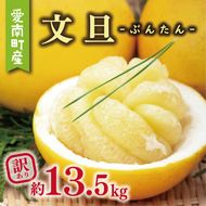 訳あり 文旦 13.5kg 13000円 ぶんたん みかん mikan 蜜柑 ミカン わけあり 家庭用 産地直送 国産 農家直送 糖度 期間限定 数量限定 特産品 ゼリー ジュース アイス 人気 限定 甘い 果実 果肉 フルーツ 果物 柑橘 ビタミン 健康 美味しい おいしい ジューシー 小玉 含む サイズ ミックス 規格外 傷み補償 500g ミッチーのおみかん畑 愛南町 愛媛県