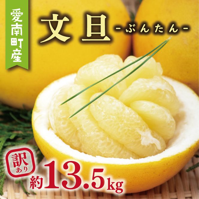 訳あり 文旦 13.5kg 13000円 ぶんたん みかん mikan 蜜柑 ミカン わけあり 家庭用 産地直送 国産 農家直送 糖度 期間限定 数量限定 特産品 ゼリー ジュース アイス 人気 限定 甘い 果実 果肉 フルーツ 果物 柑橘 ビタミン 健康 美味しい おいしい ジューシー 小玉 含む サイズ ミックス 規格外 傷み補償 500g ミッチーのおみかん畑 愛南町 愛媛県