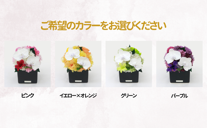 花 プリザーブドフラワー 胡蝶蘭キューブM ギフト プレゼント お祝い 誕生日 お供え アレンジ インテリア 東京都 墨田区