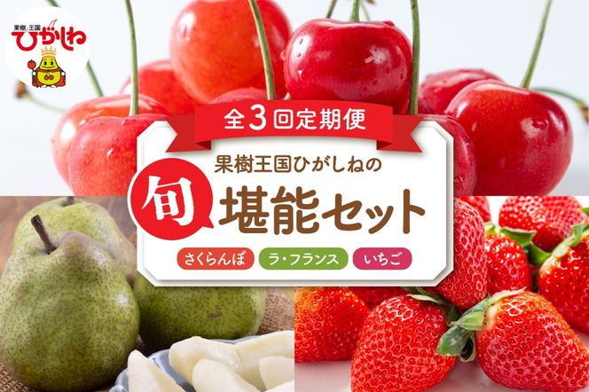 	【2026年産 先行予約　3回定期便】果樹王国ひがしねの旬堪能セット いちご さくらんぼ ラ・フランス 山形県 東根市　hi069-022