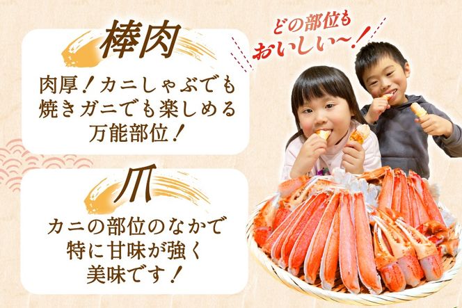 かに【年内配送】 カット済 生 ずわいがに むき身 セット 総重量 1.5kg (正味重量1.2kg) 2-3Lサイズ [カネダイ 宮城県 気仙沼市 20565690] かに カニ ズワイガニ ずわい ズワイ 蟹 棒肉 ポーション かに鍋 かにしゃぶ 生ずわい