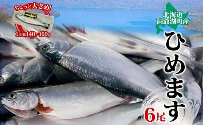 洞爺湖町産 ひめます 6尾 約140g～160g /1尾 ちょっと大きめサイズ 北海道 姫鱒 ヒメマス 魚 さかな 北海道産 海鮮 釣り漁獲 チップ 塩焼き 素揚げ 丸ごと レア 高級魚 淡水魚 洞爺湖町