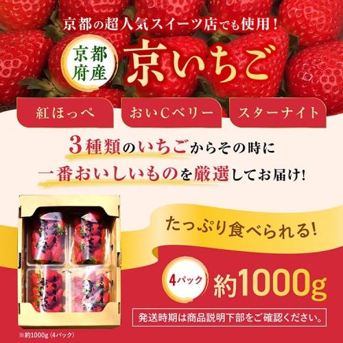 来シーズン予約受付 高級 京いちご 完熟 朝採れ 約1,000g（250g 4パック）小島農園 紅ほっぺ おいCベリー スターナイトから厳選≪訳あり 苺 イチゴ ≫離島への配送不可 ※2026年1月中旬～5月下旬頃に順次発送予定