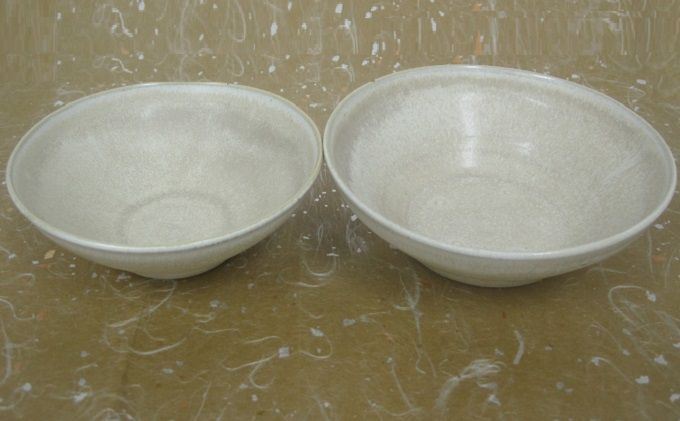 森と器シリーズ 深皿2枚セット 食器 陶磁器