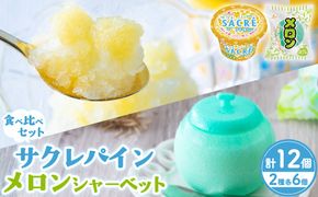 サクレパイン・メロンシャーベット 食べ比べセット　|　アイス フルーツ　シャーベット　パイン　メロン　かき氷　スイーツ