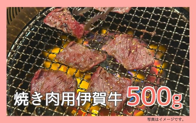 忍者ちらしと伊賀牛セット sehr0002