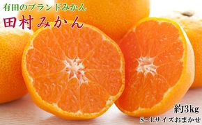 【有田のブランドみかん】田村みかん 約3kg (S.M.Lサイズおまかせ・秀品)