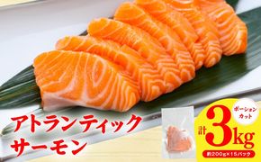 G3554 【スピード発送】アトランティックサーモン 3kg【小分け 200g×15P 柵切り 刺身 魚介 海鮮 さーもん 生食】