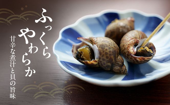 鮮度抜群！秋田県にかほ市産 冷凍 味付きバイ貝 1.2kg(300g×4パック)【 煮付け 冷凍 甘煮 おつまみ 魚介類 貝類 海鮮 秋田 にかほ 】