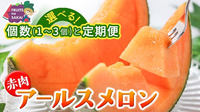 ＼ 玉数とお届け回数が選べる ／ 赤肉アールスメロン 1玉 / 2玉 / 3玉 アールスメロン 赤肉 ギフト 高糖度 甘い フルーツ 誕生日 プレゼント ギフト 贈り物 父の日 母の日 1回 / 2回 / 3回 / 6回 / 12回