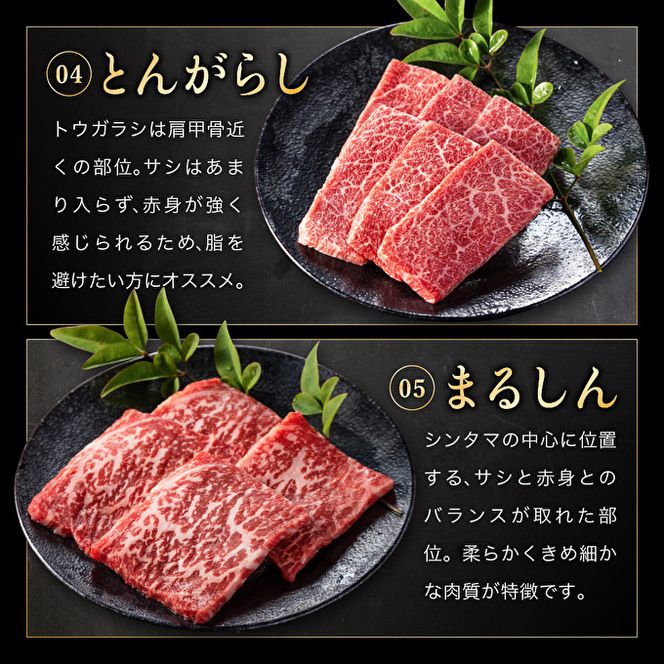 神戸牛 希少部位 焼肉セット 5種 計1.2kg ミスジ ヒウチ 三角バラ トウガラシ マルシン