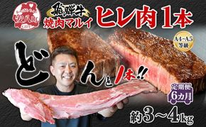 飛騨牛 ヒレ肉 ブロック A4～A5等級 1本6ヵ月定期便約3～4kg  3割×6 ヒレ シャトーブリアン 肉 牛肉 ブランド牛 お肉 和牛 贅沢 お取り寄せ ご褒美 ステーキ 豪華 グルメ 焼肉 BBQ パーティー ギフト 贈り物 自家用 贈答用 焼肉マルイ 岐阜県 【 安八町 】