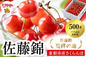 2025年 山形県東根市産さくらんぼ「佐藤錦」500gバラ詰め 東根農産センター提供 山形県 東根市 hi027-171-2