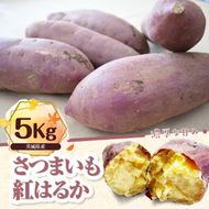 【先行予約】【2026年11月より順次発送開始】さつまいも　特選紅はるか 約5kg｜さつまいも 芋 お芋 紅はるか タネのハシモト 茨城県 行方市(BS-10)