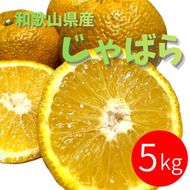 じゃばら 5kg (28~44玉) DJ054