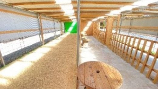 【体験型返礼品】ペットヤギ牧場バックヤードツアー（来場/3時間/2名）